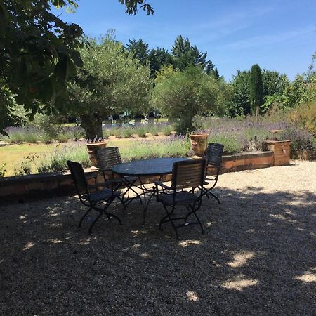 Typical Provencal Farm House Close To L'Isle Sur La Sorgue - 12 Persons Cavaillon Exteriör bild
