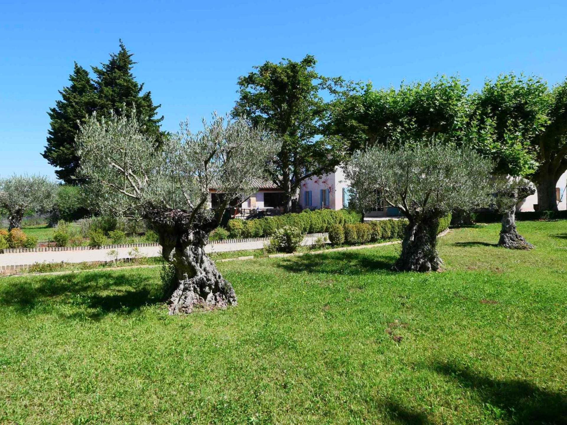 Typical Provencal Farm House Close To L'Isle Sur La Sorgue - 12 Persons Cavaillon Exteriör bild