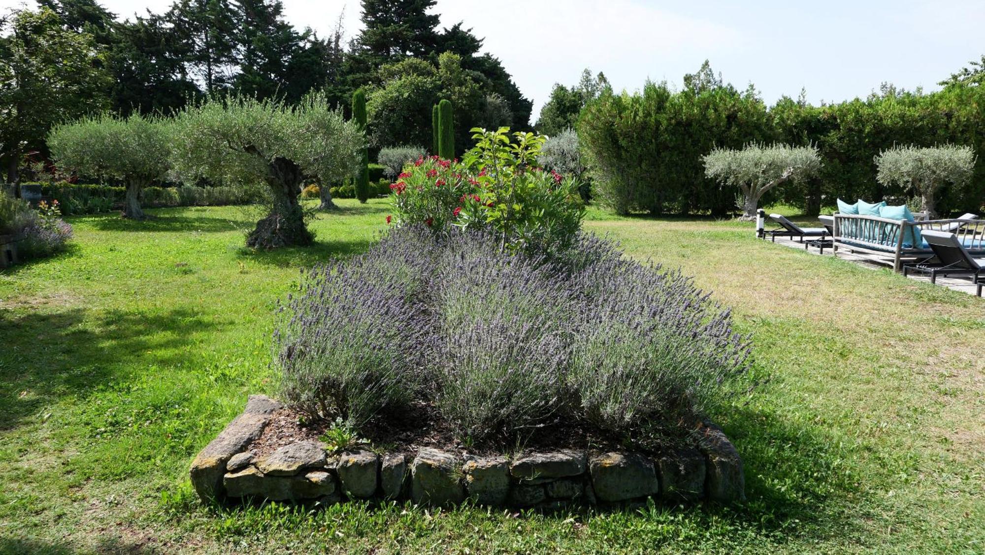 Typical Provencal Farm House Close To L'Isle Sur La Sorgue - 12 Persons Cavaillon Exteriör bild