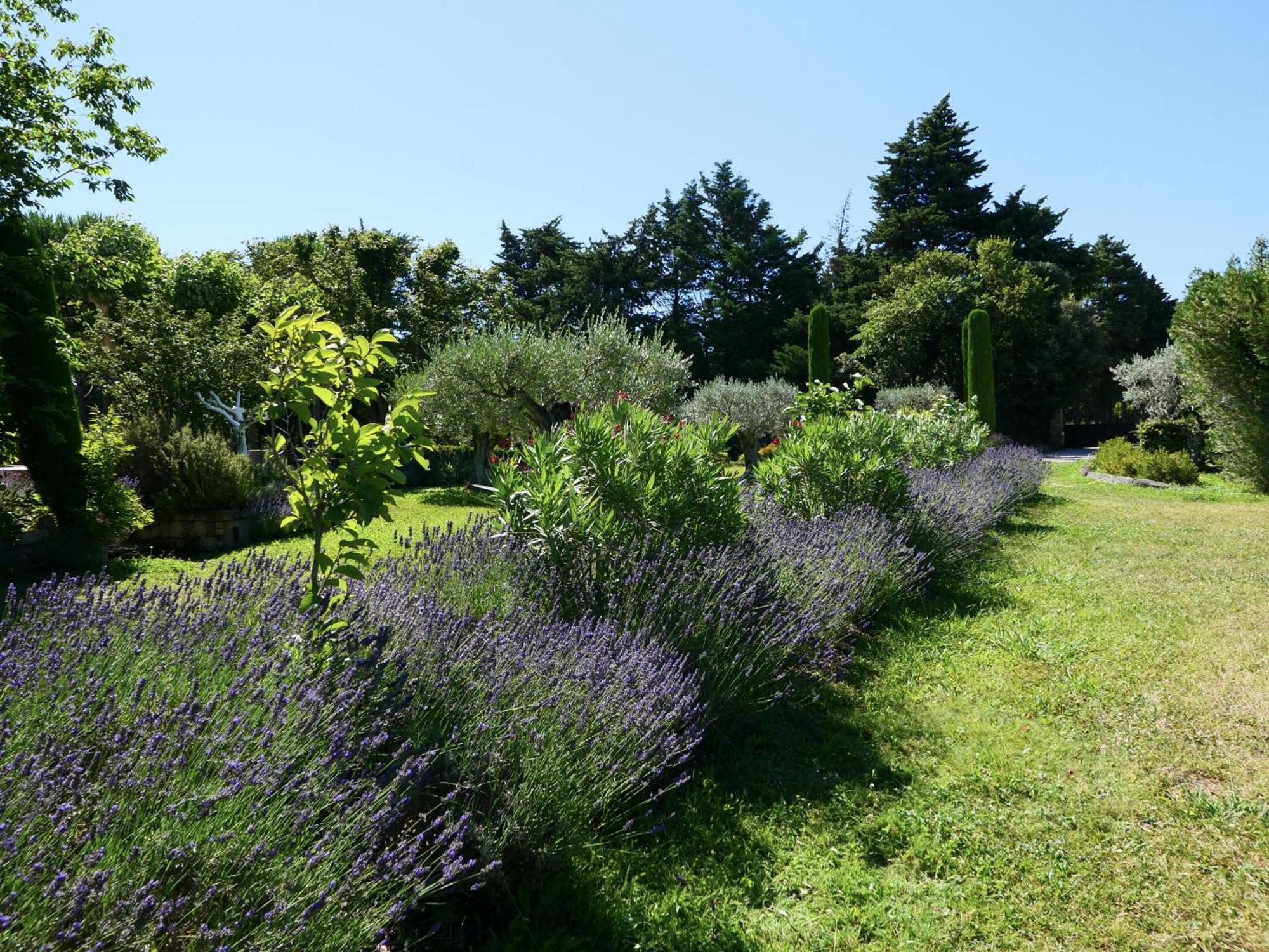 Typical Provencal Farm House Close To L'Isle Sur La Sorgue - 12 Persons Cavaillon Exteriör bild