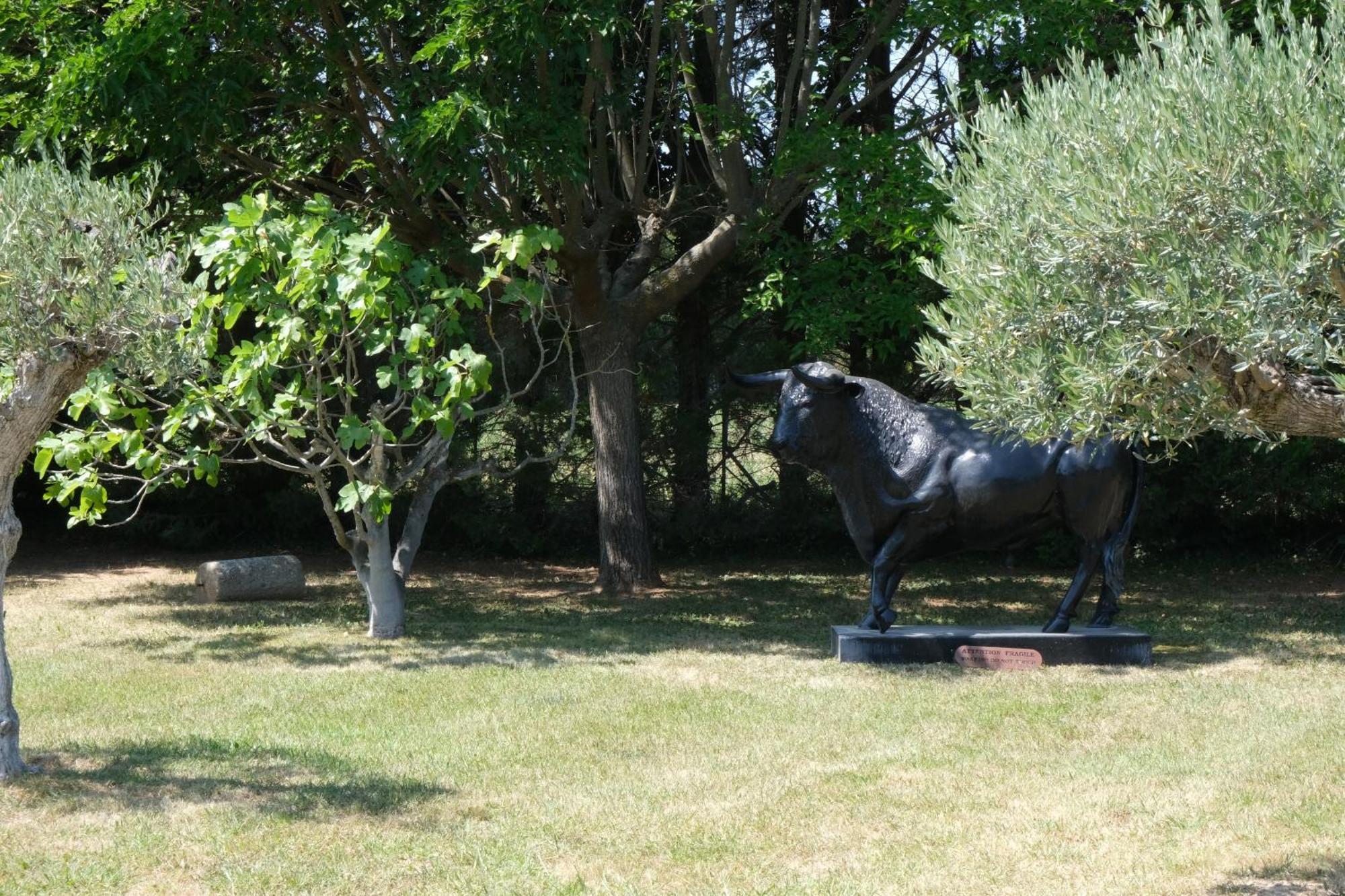 Typical Provencal Farm House Close To L'Isle Sur La Sorgue - 12 Persons Cavaillon Exteriör bild