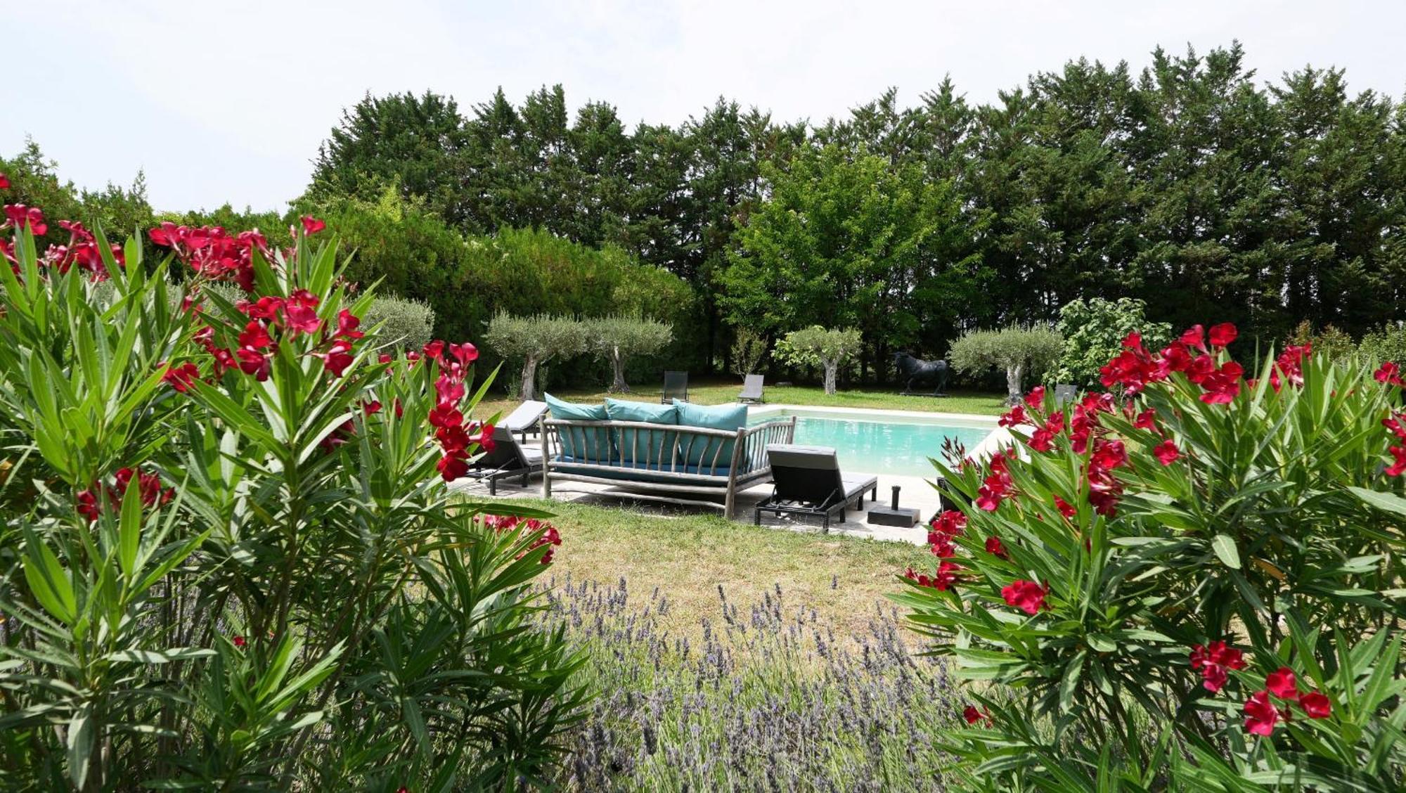 Typical Provencal Farm House Close To L'Isle Sur La Sorgue - 12 Persons Cavaillon Exteriör bild