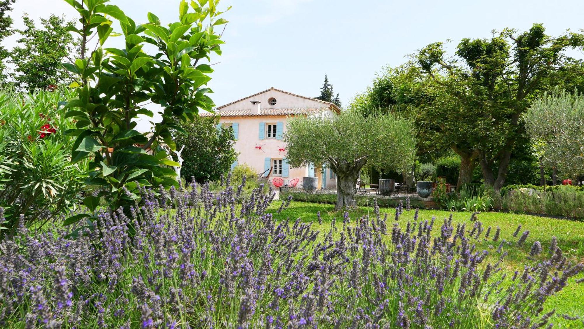 Typical Provencal Farm House Close To L'Isle Sur La Sorgue - 12 Persons Cavaillon Exteriör bild